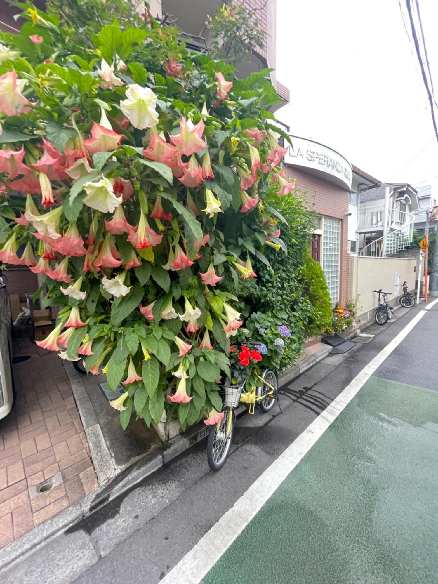 新宿庭院の屋-Shinjuku Garden Home -28 Square Meters King Size Bed Garden Room Tokio Zewnętrze zdjęcie