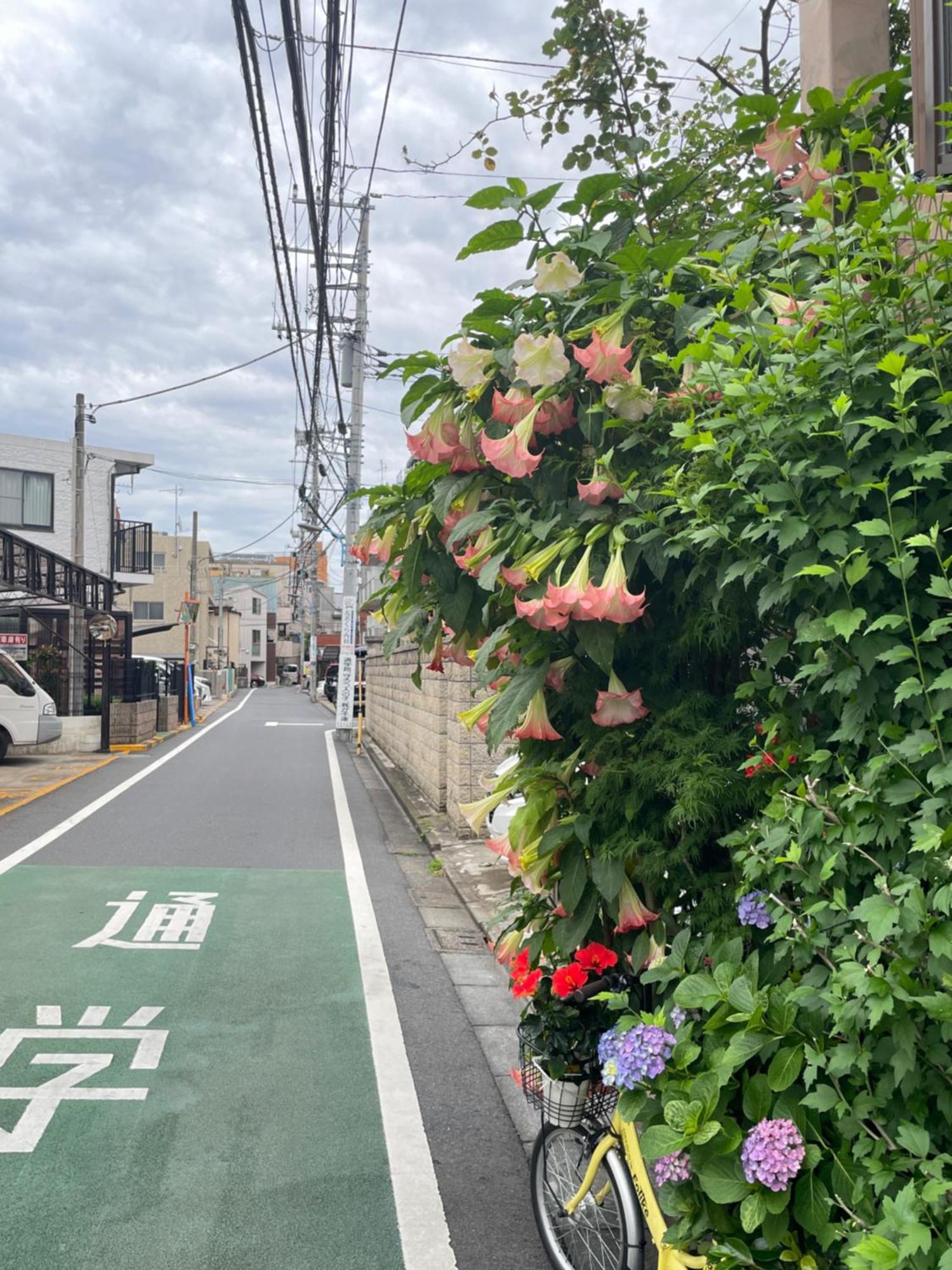 新宿庭院の屋-Shinjuku Garden Home -28 Square Meters King Size Bed Garden Room Tokio Zewnętrze zdjęcie