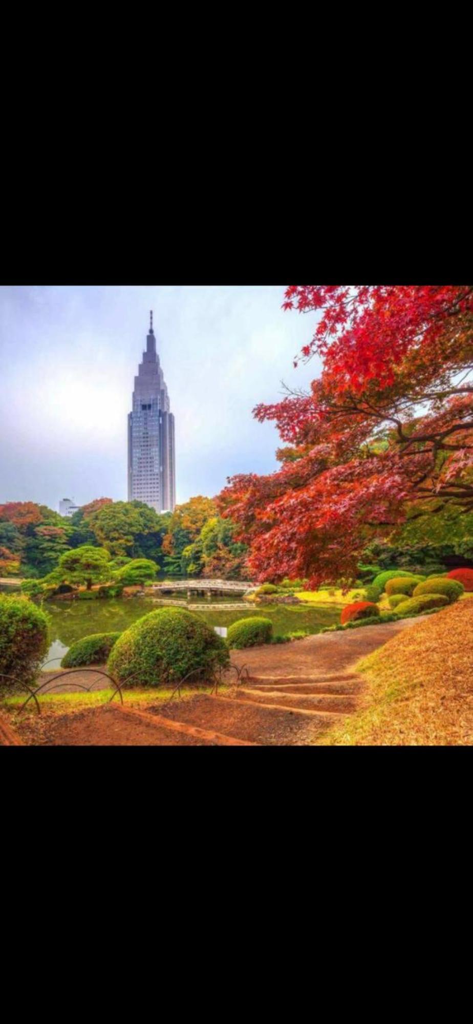 新宿庭院の屋-Shinjuku Garden Home -28 Square Meters King Size Bed Garden Room Tokio Zewnętrze zdjęcie
