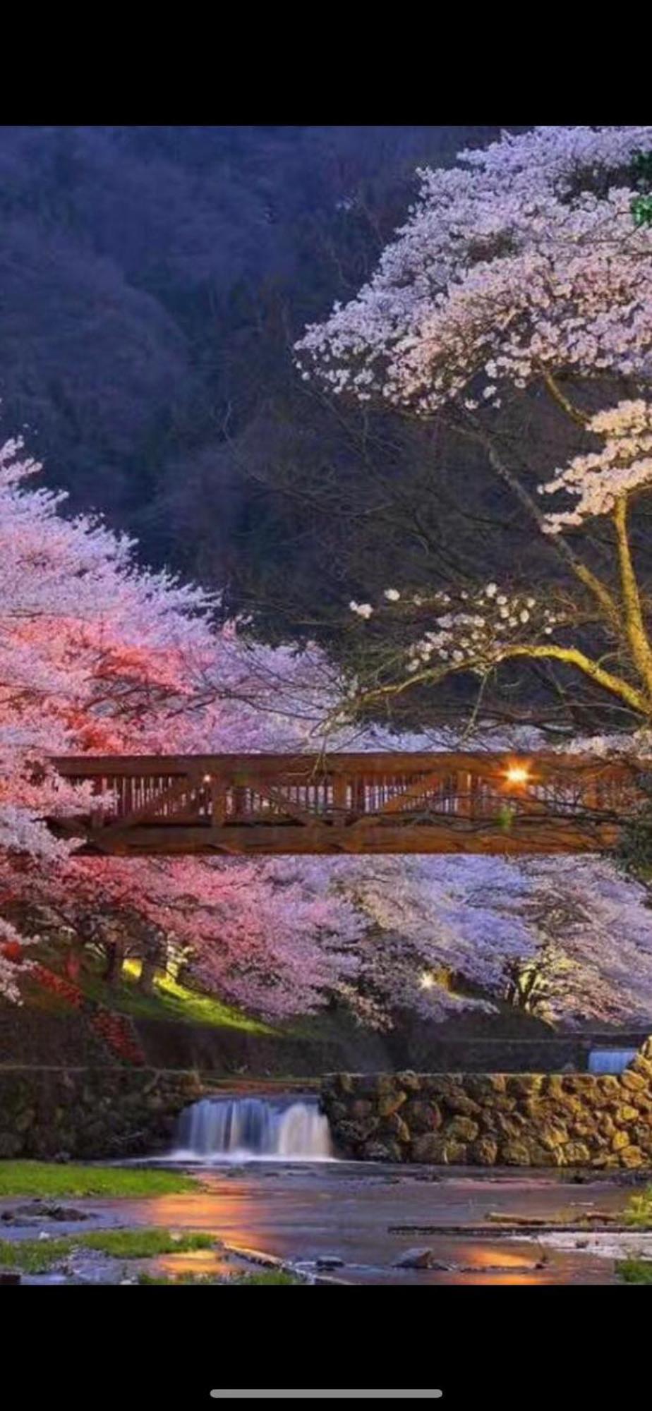 新宿庭院の屋-Shinjuku Garden Home -28 Square Meters King Size Bed Garden Room Tokio Zewnętrze zdjęcie