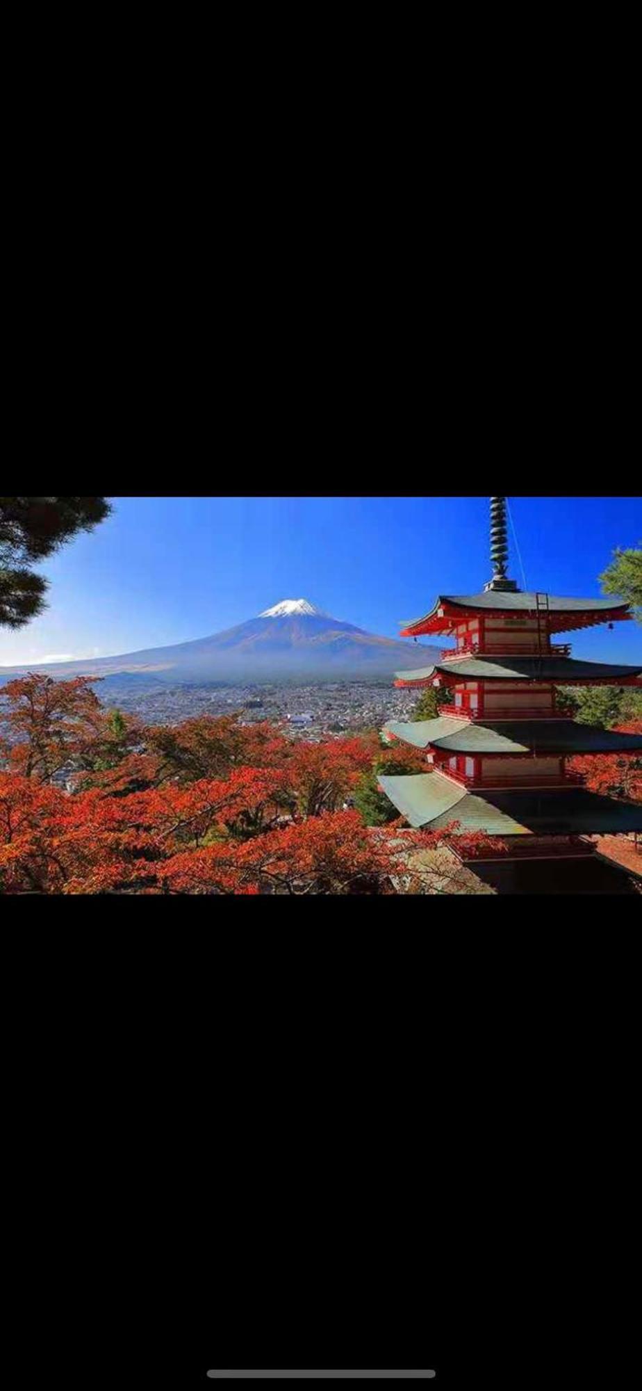 新宿庭院の屋-Shinjuku Garden Home -28 Square Meters King Size Bed Garden Room Tokio Zewnętrze zdjęcie